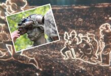 Die ENVG-B ist eine binokulare Fusions-Brille, die zwei leistungsstarke 18-mm-Nachtsichtröhren der dritten Generation (weißer Phosphor) mit einem separaten Wärmebildkanal mittels Bildfusion kombiniert.