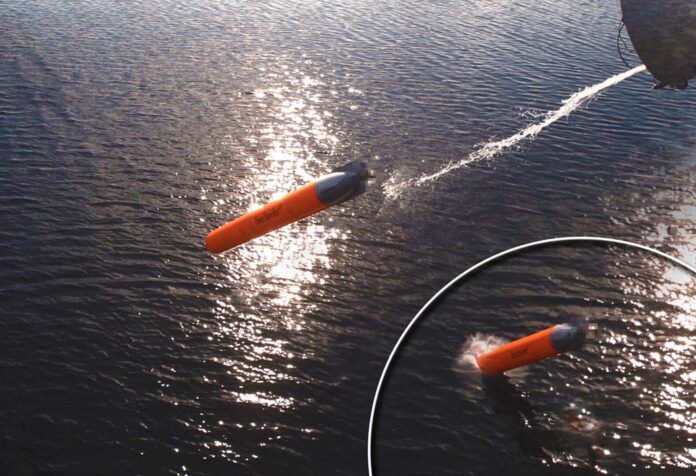 Anti-Torpedo-Torpedo SeaSpider