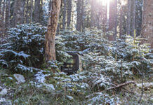 Die SFC Energy AG, ein bayerischer Anbieter von Hybrid-Energieversorgungssystemen in den Bereichen Sicherheit, Verteidigung, Industrie und kritischer Infrastruktur, hat einen Großauftrag im Volumen von rund EUR 42,7 Millionen Euro zur Lieferung moderner Brennstoffzellensysteme in die Ukraine erhalten.