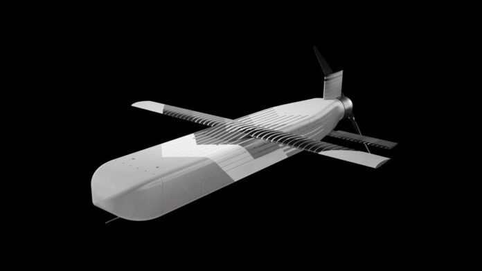 Die Hornet B2 basiert Herstellerangaben zufolge auf einer anderen Architektur als herkömmliche Abfangflugkörper. Die Hornet wird in einem Startbehälter gelagert und mit einem Raketenbooster gestartet. Nach dem Start werden die Flügel ausgeklappt und der Flugkörper wechselt in den elektrisch angetriebenen Marschflug.